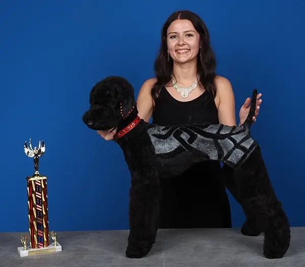 2025 All American Grooming Show 1st Place Abstract Runway