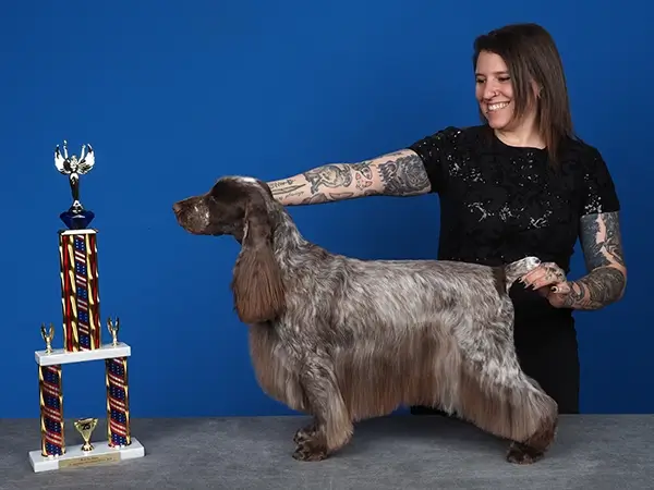 2025 All American Grooming Show Best In Show