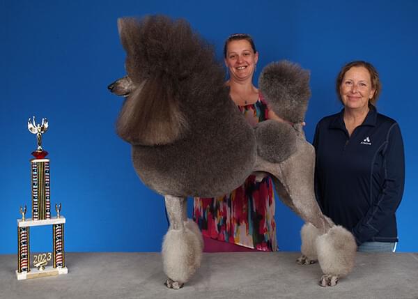 2023 Best In Show Winner